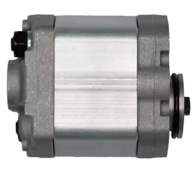 Насос шестеренчатый (чугун)  0301014 CBD-F203.3-L1BL-BA